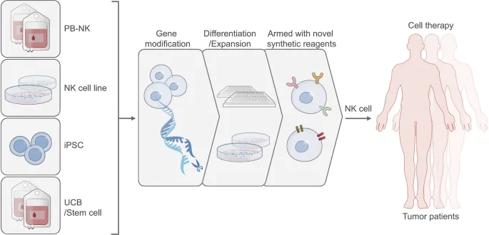 1742283041460764.png e0136aff5a2153666ee68d8b2e611a0.png