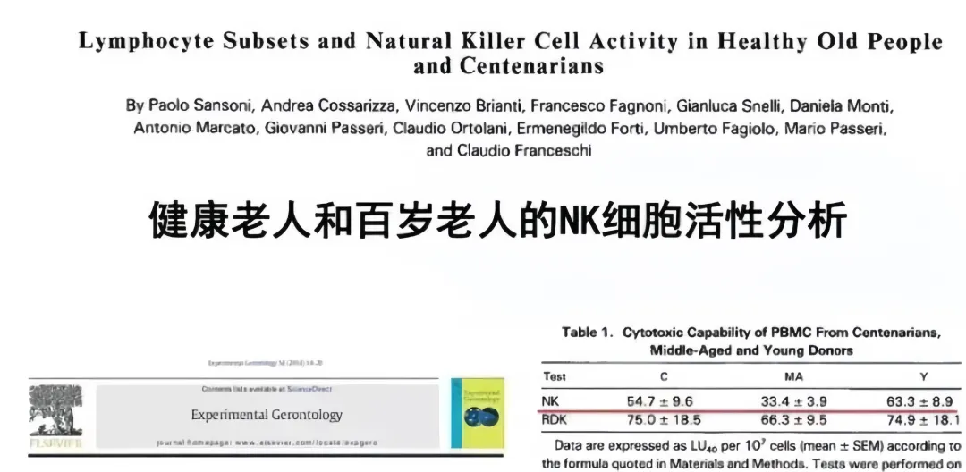 1742283229509319.png 39520850dbd9305d822dd77b001fb0d.png